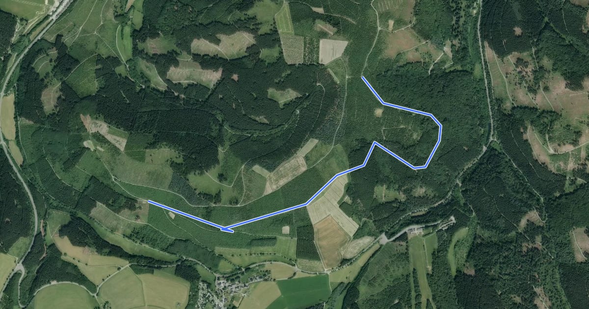 Маршрут Osterwald Rundweg O3 на спутниковом снимке