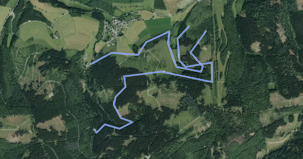 Маршрут Osterwald Rundweg O5 на спутниковом снимке