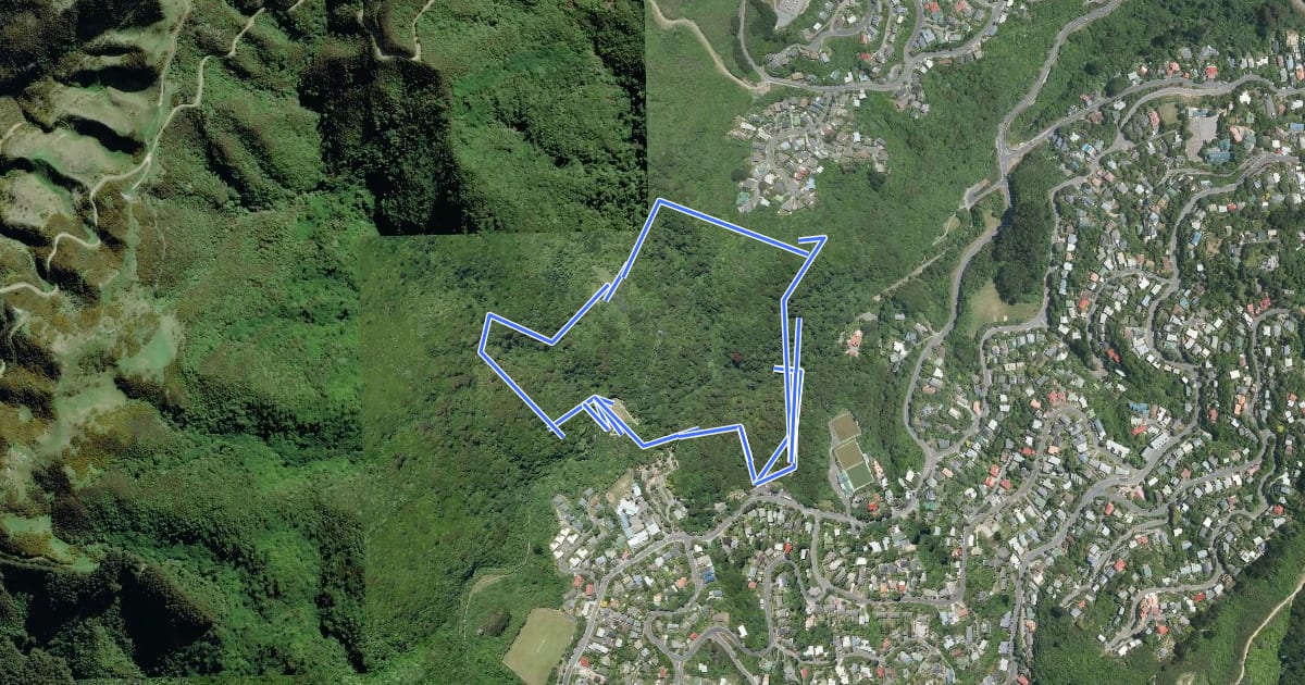 Маршрут Otari-Wilton's Bush circular circuit на спутниковом снимке
