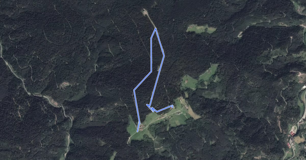 Маршрут Otmarhütte - Vorderer Kupferberg на спутниковом снимке