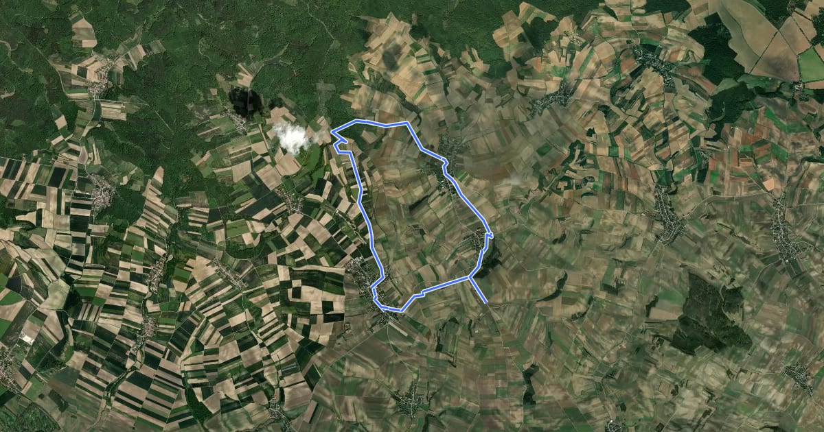 Маршрут Ottendorfer Weidenwiesenweg на спутниковом снимке