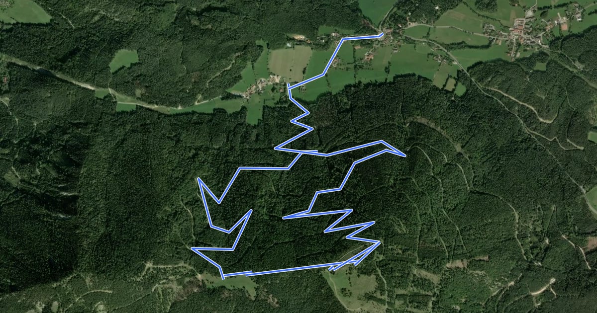 Маршрут Otter Rundwanderweg (Schlagl) на спутниковом снимке