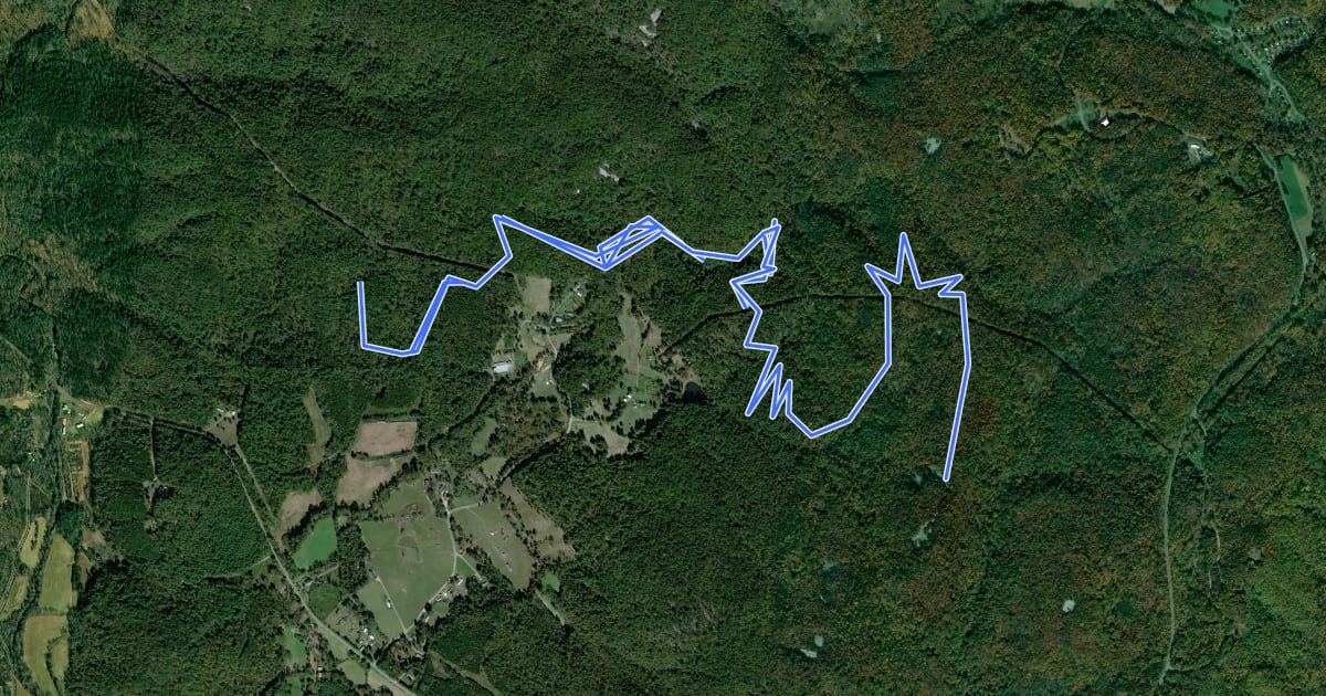 Маршрут Out-and-Back Trail на спутниковом снимке