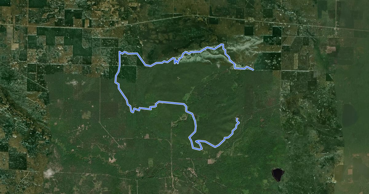 Маршрут Outer Loop на спутниковом снимке
