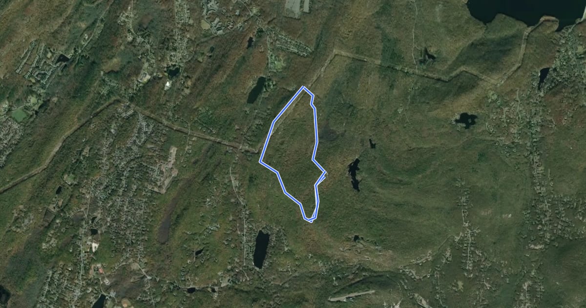 Маршрут Overlook Rock Trail на спутниковом снимке