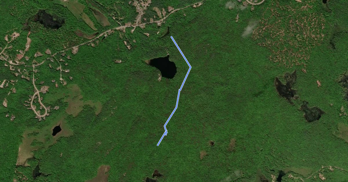 Маршрут Overlook Trail на спутниковом снимке