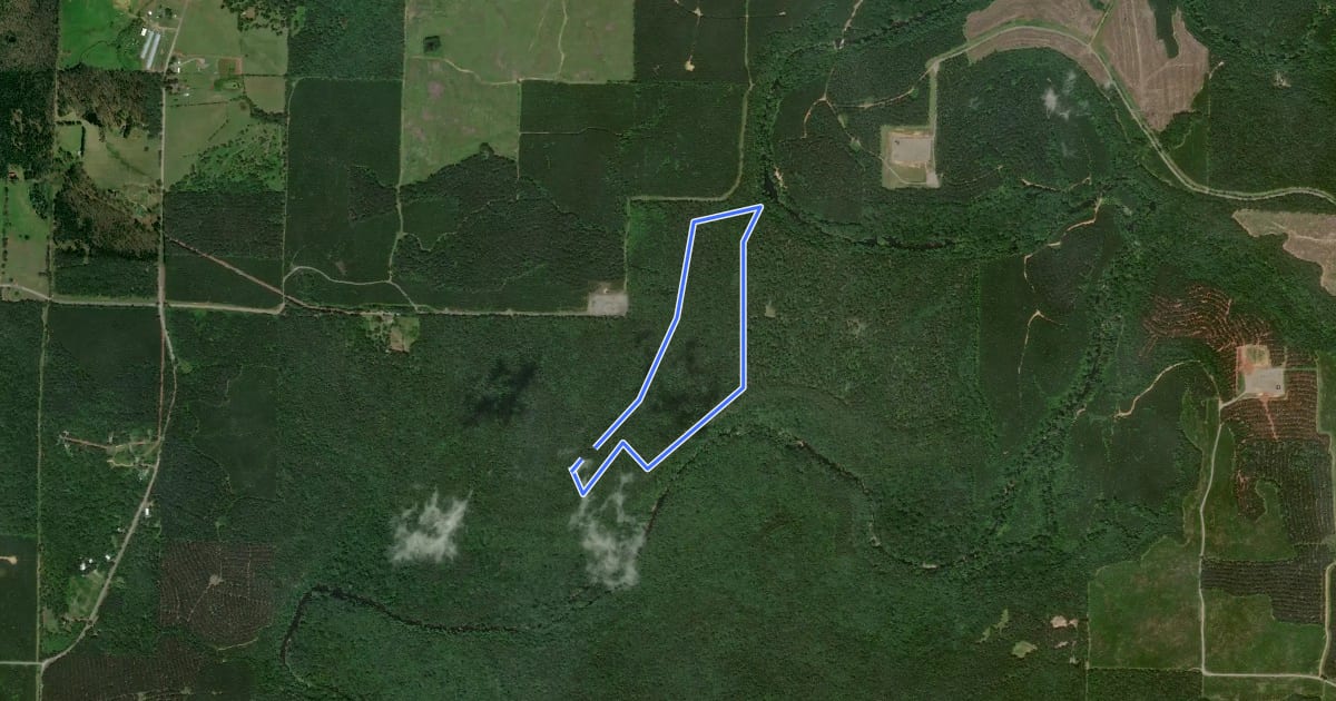 Маршрут Overlook Trail на спутниковом снимке