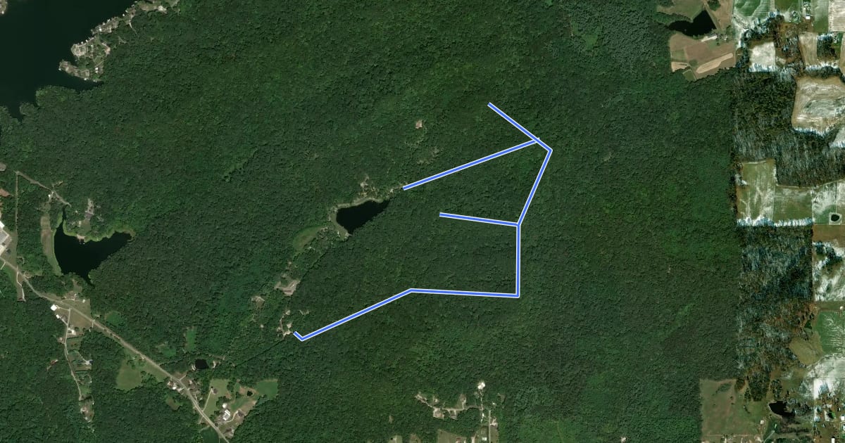 Маршрут Overlook Trail на спутниковом снимке