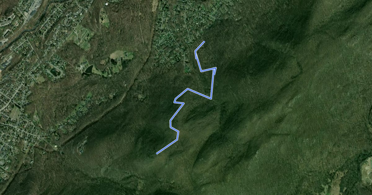 Маршрут Overlook Trail на спутниковом снимке