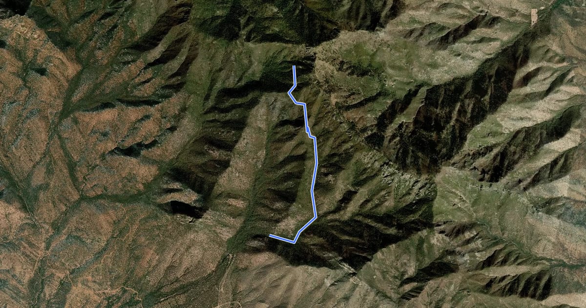 Маршрут Oversite Canyon Trail #112 на спутниковом снимке