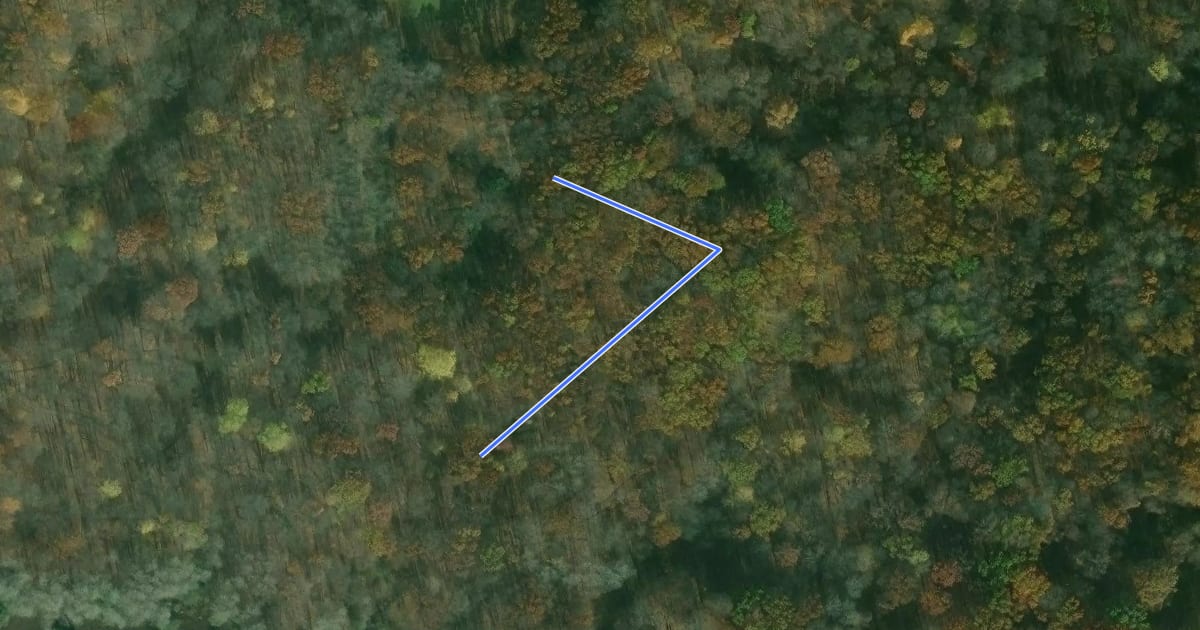 Маршрут Owl's Maze на спутниковом снимке
