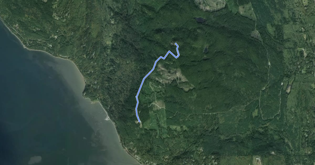 Маршрут Oyster Dome Trail на спутниковом снимке
