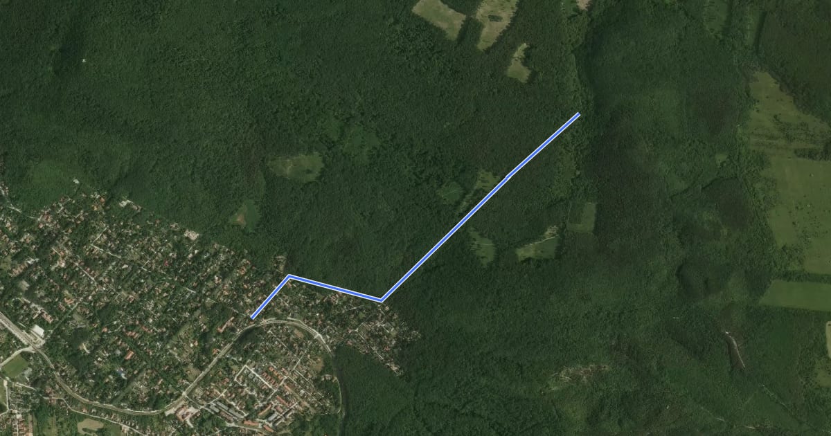 Маршрут P+ (Cseresznyés-erdő – Homok-hegyi-nyereg – Klotildliget, vm.) на спутниковом снимке