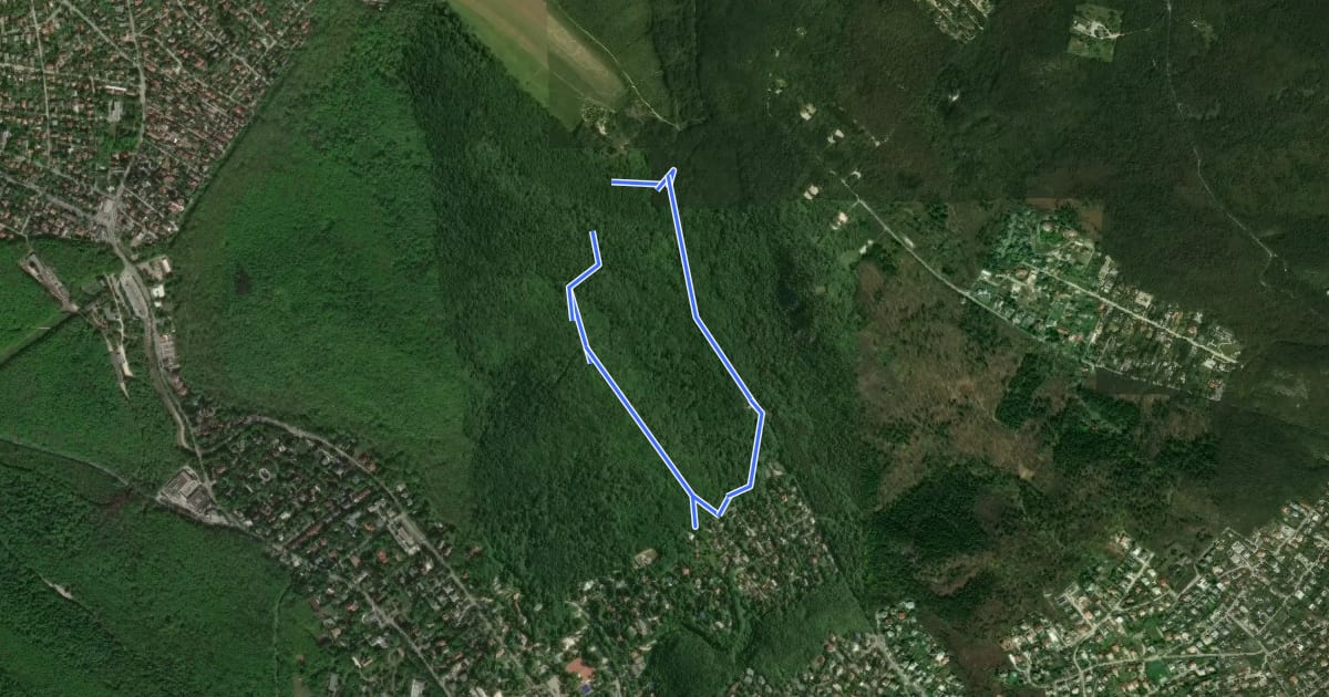 Маршрут P↺ (Görgényi út, autóparkoló - Határ-nyereg) на спутниковом снимке