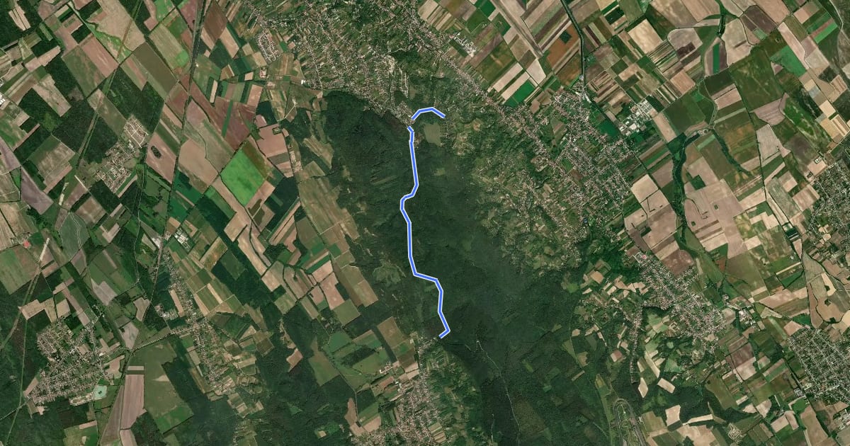 Маршрут P+ (Győrújbarát – Tényő) на спутниковом снимке