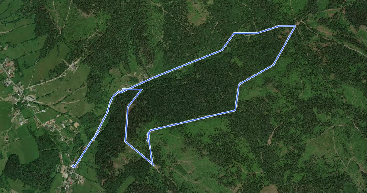 Маршрут Pętla Lis (7,5 km) на спутниковом снимке
