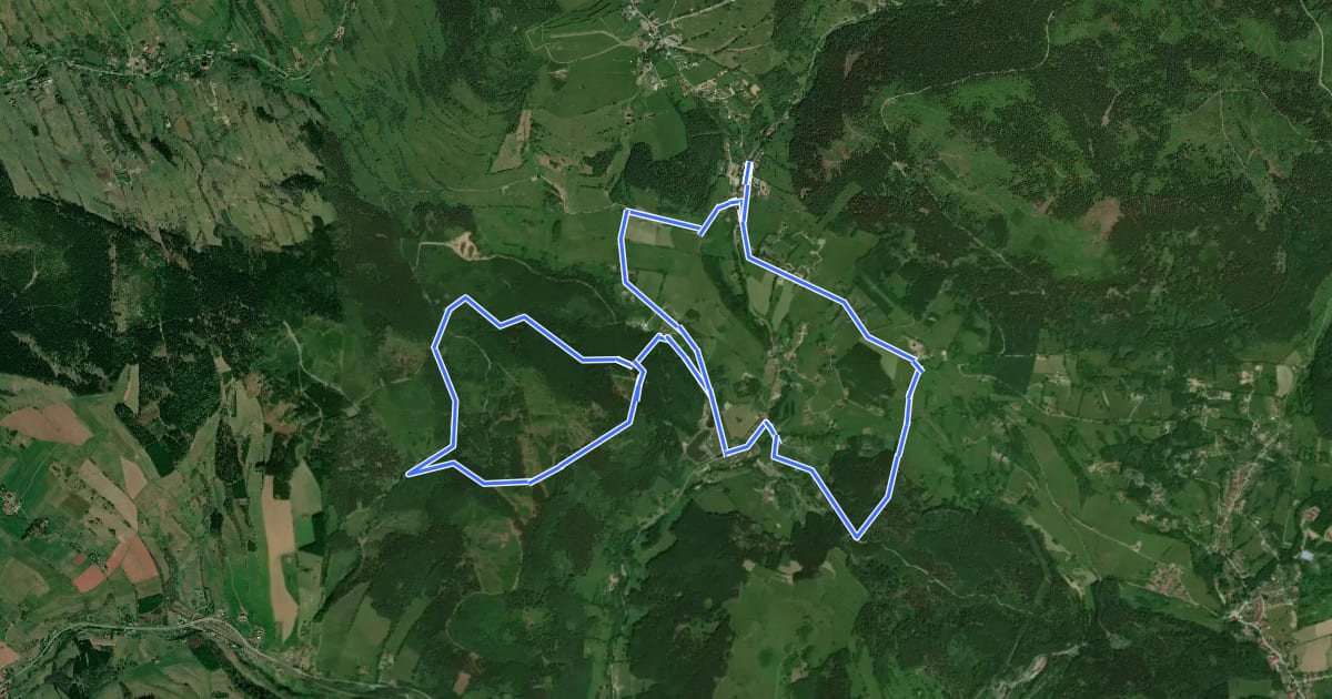 Маршрут Pętla Nietoperz (12 km) на спутниковом снимке