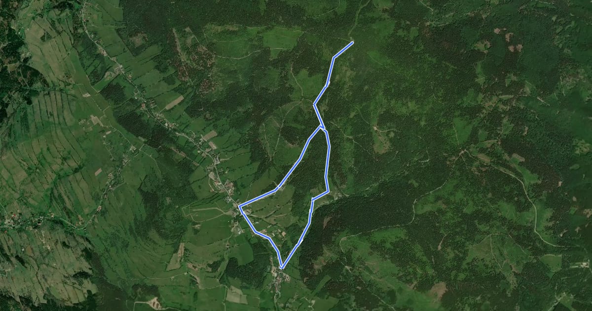 Маршрут Pętla Sowa (7,2 km) на спутниковом снимке