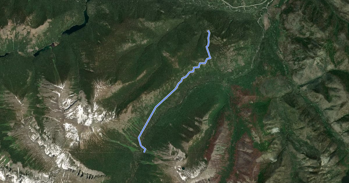 Маршрут Pacific Crest Trail - Int на спутниковом снимке