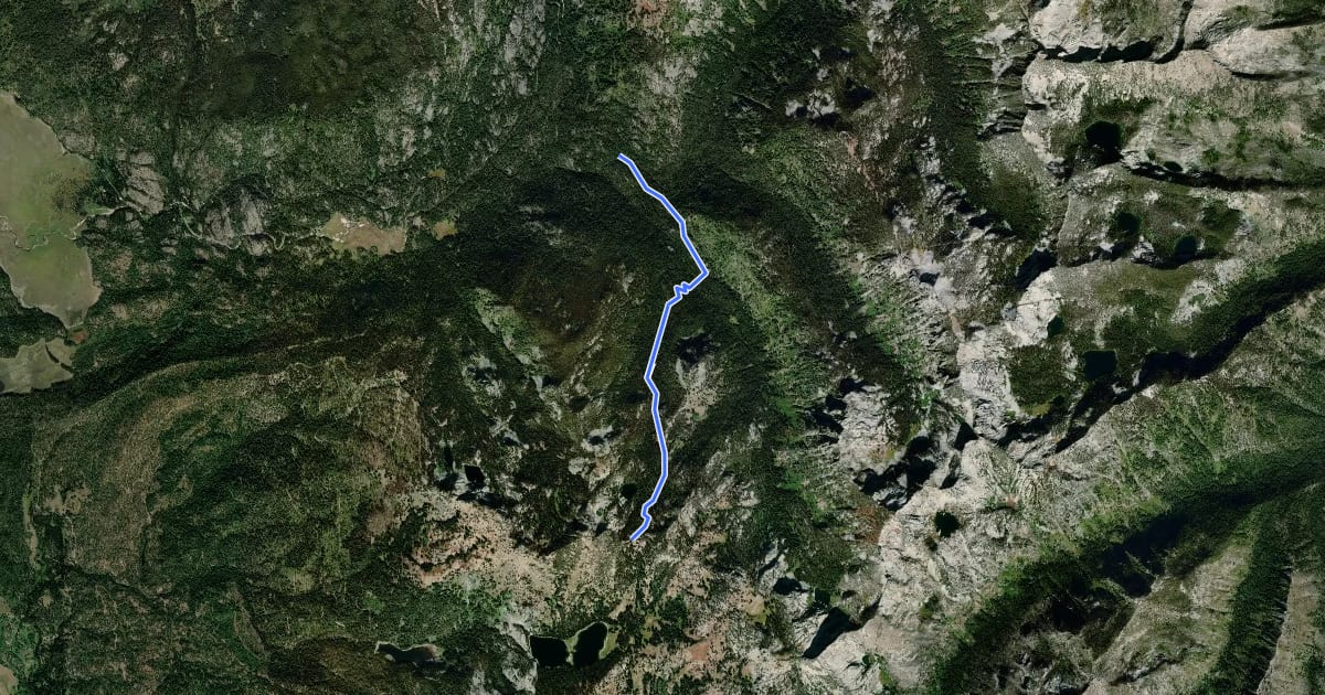 Маршрут Paddy Flat Lake Fork Pack Trail на спутниковом снимке