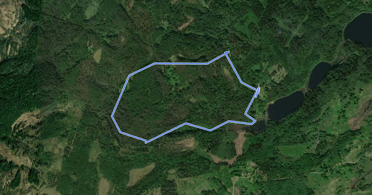 Маршрут Paganamaa õpperajad 4 km на спутниковом снимке