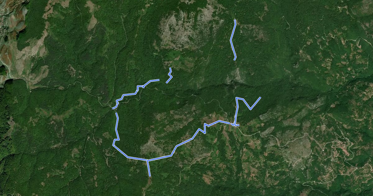 Маршрут Paiko Trail на спутниковом снимке