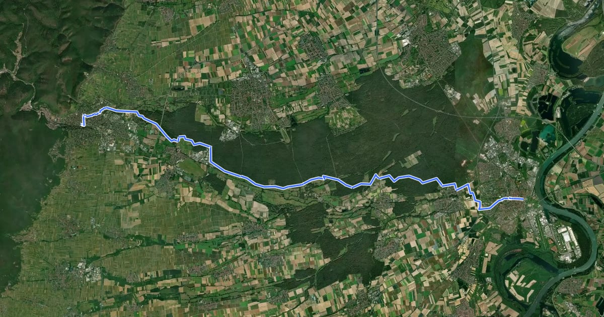 Маршрут Palatina-Radweg на спутниковом снимке