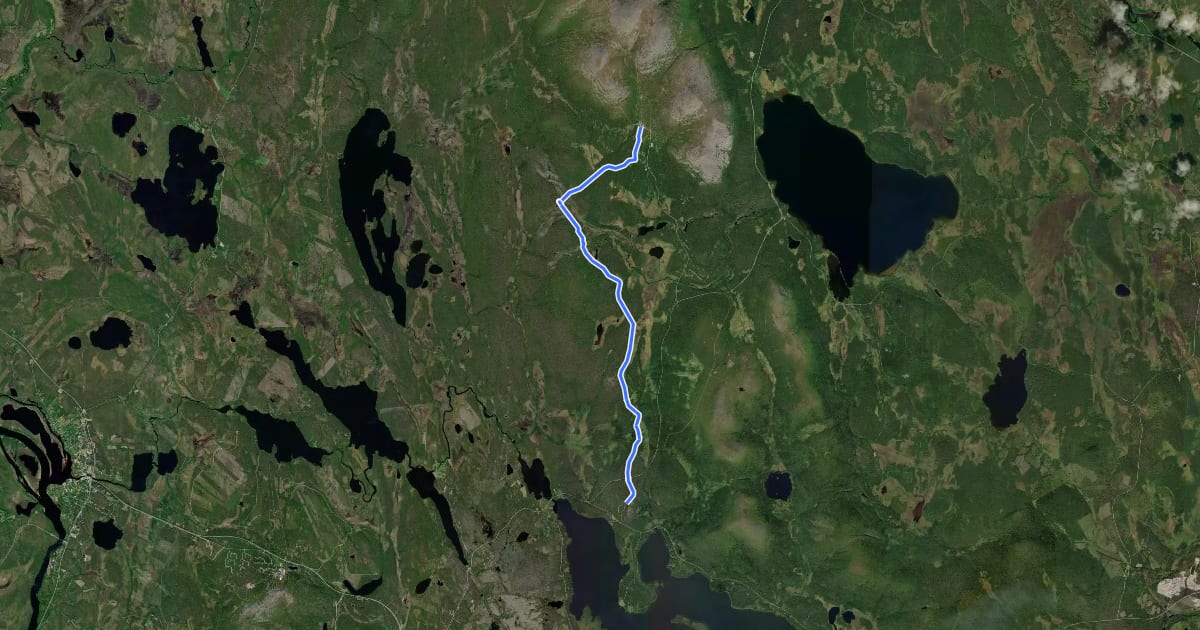 Маршрут Pallas-Jerisjärvi hiihtoreitti на спутниковом снимке