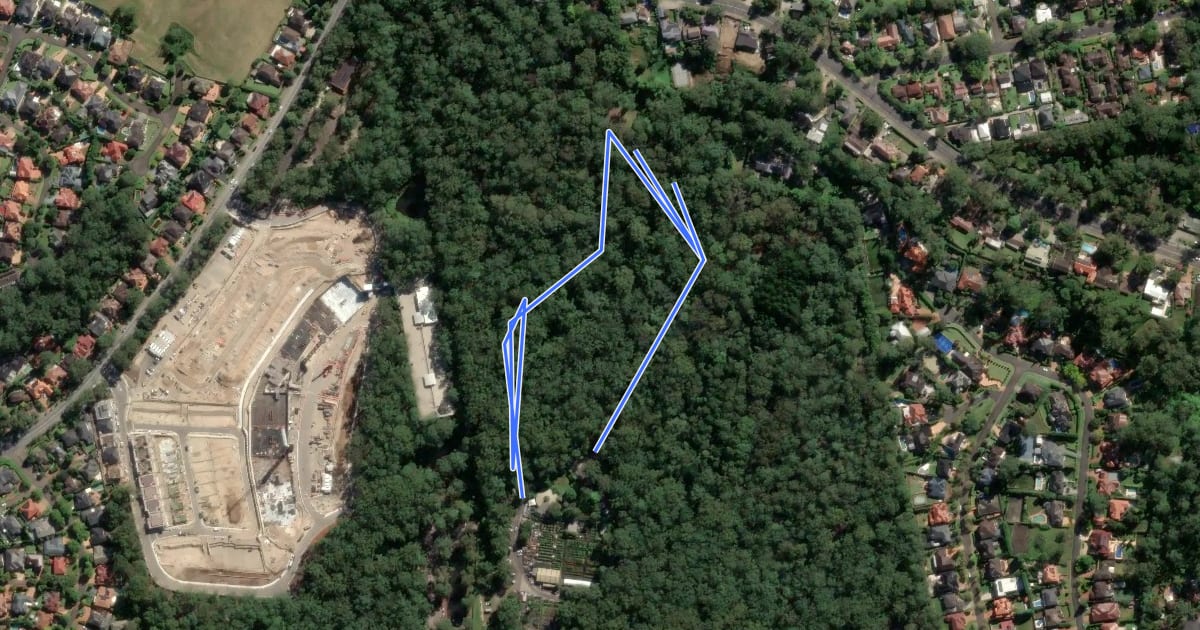 Маршрут Palm Gully Trail на спутниковом снимке