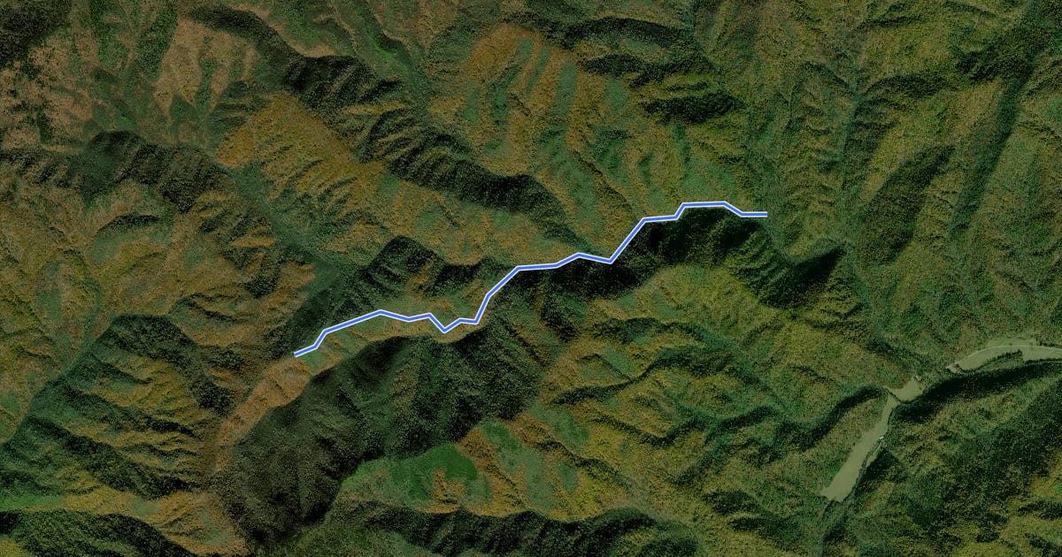 Маршрут Palmer Creek Trail на спутниковом снимке