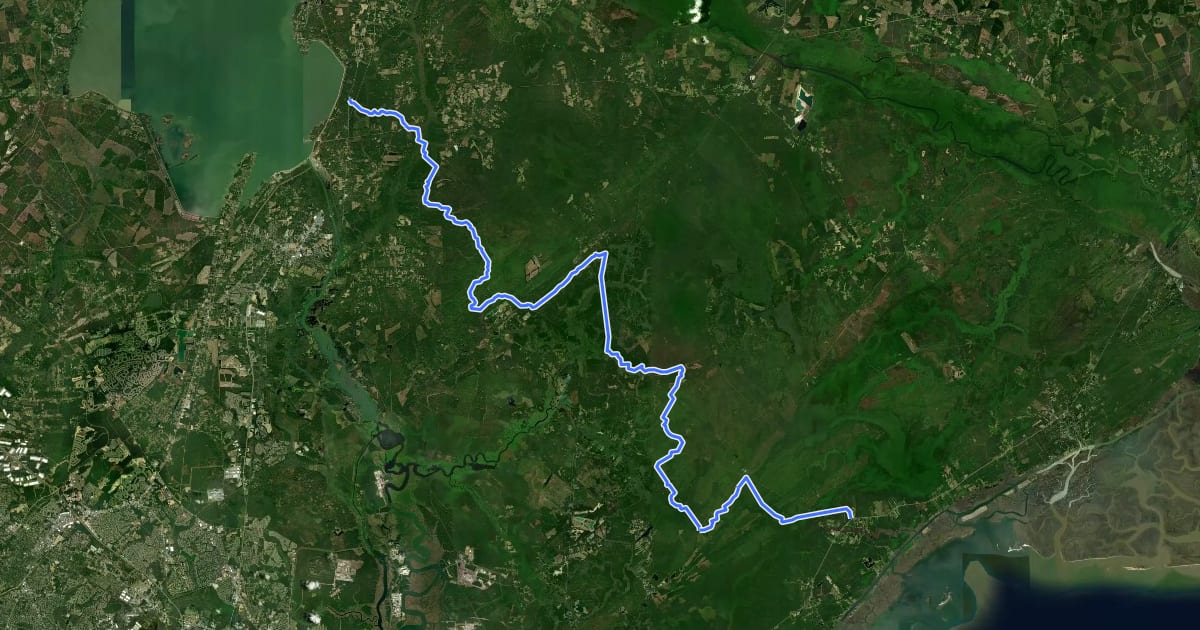 Маршрут Palmetto Trail на спутниковом снимке