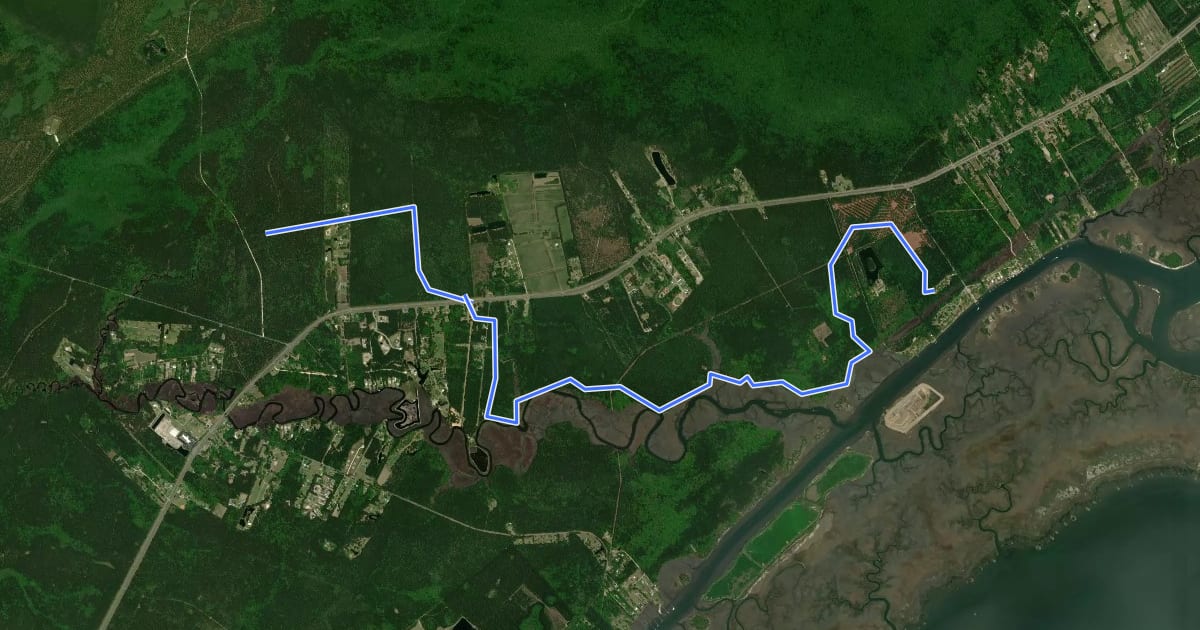 Маршрут Palmetto Trail: Awendaw Passage на спутниковом снимке