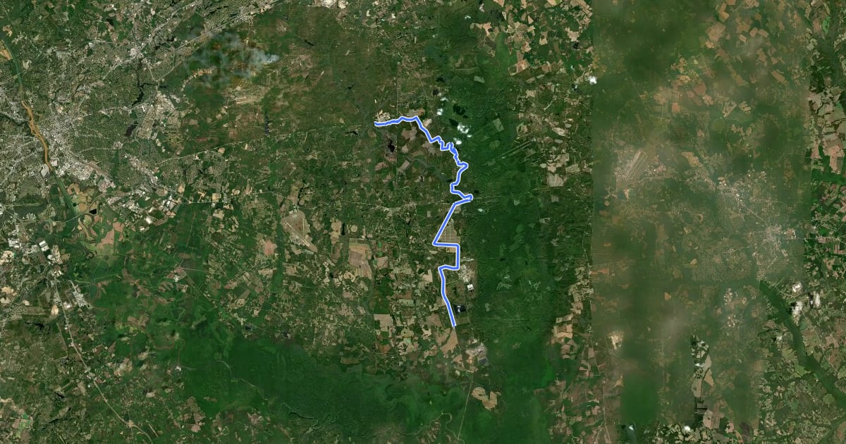 Маршрут Palmetto Trail: Boyd Passage на спутниковом снимке