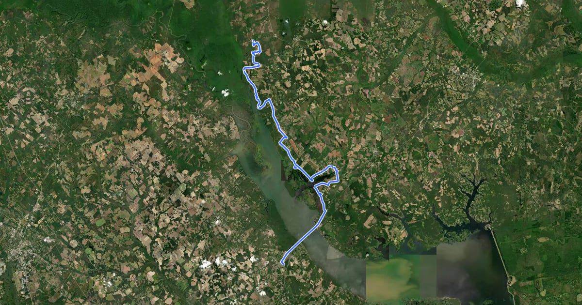 Маршрут Palmetto Trail: Lake Marion Passage на спутниковом снимке
