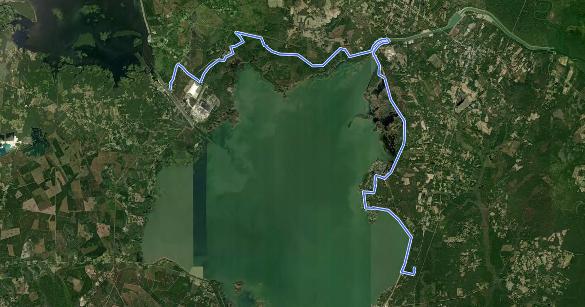 Маршрут Palmetto Trail: Lake Moultrie Passage на спутниковом снимке