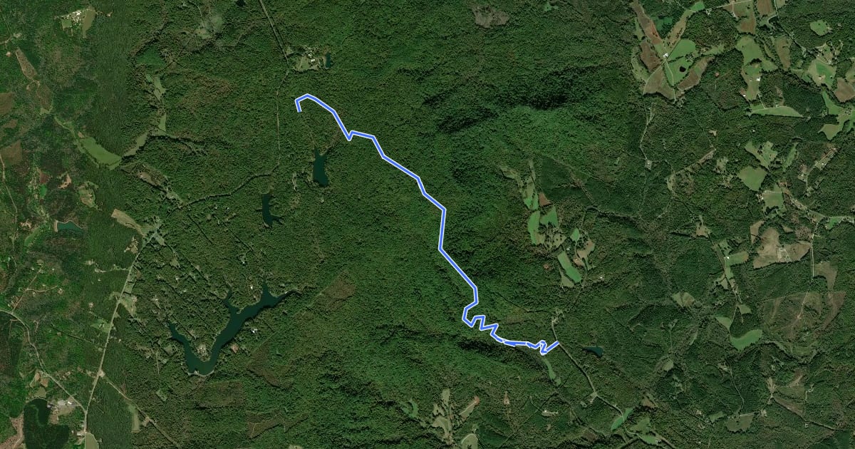 Маршрут Palmetto Trail: Oconee Passage на спутниковом снимке