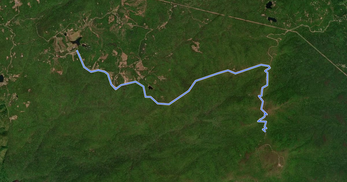 Маршрут Palmetto Trail: Poinsett Reservoir Passage на спутниковом снимке
