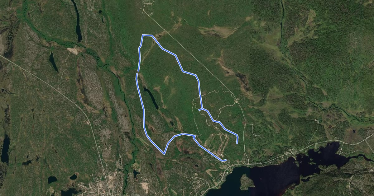 Маршрут Palosenjärven polku на спутниковом снимке