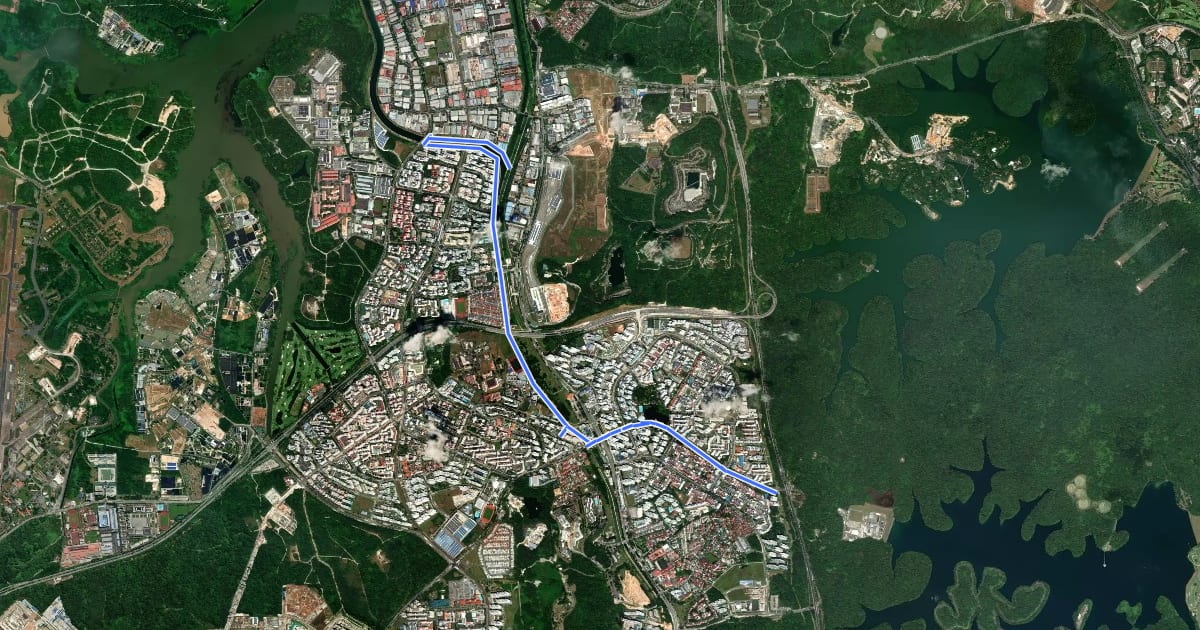 Маршрут Pang Sua Park Connector на спутниковом снимке
