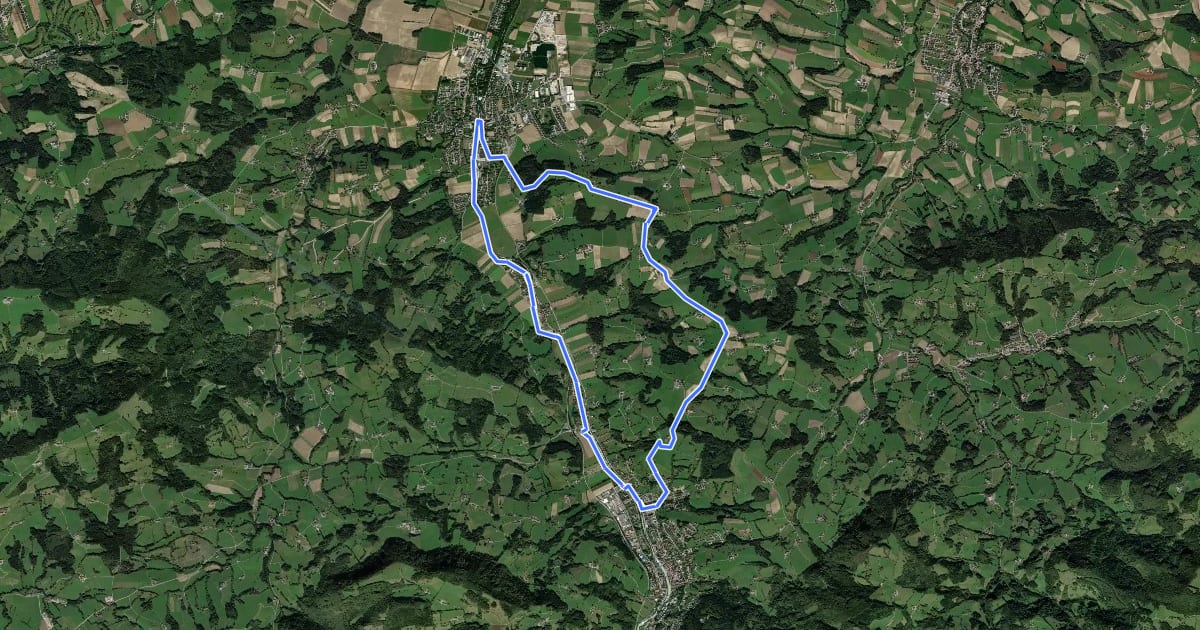Маршрут Panorama-Höhenweg на спутниковом снимке
