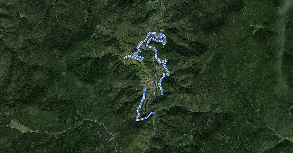 Маршрут Panorama-Runde – Rund um Forbach на спутниковом снимке