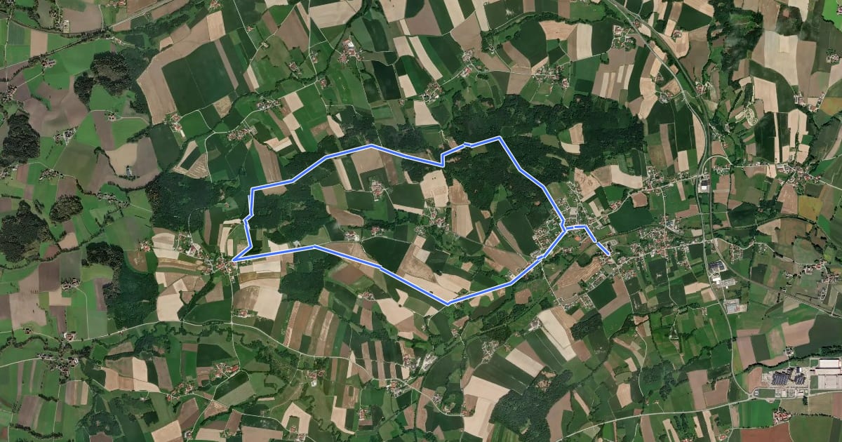 Маршрут Panorama-Rundwanderweg на спутниковом снимке
