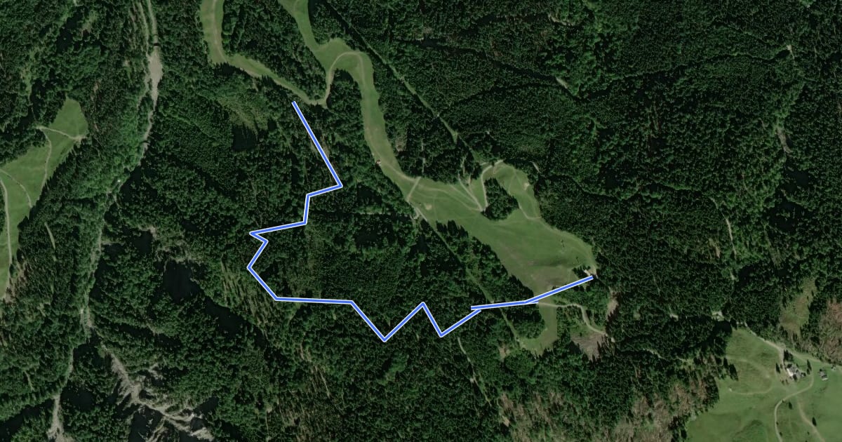 Маршрут Panorama Trail на спутниковом снимке