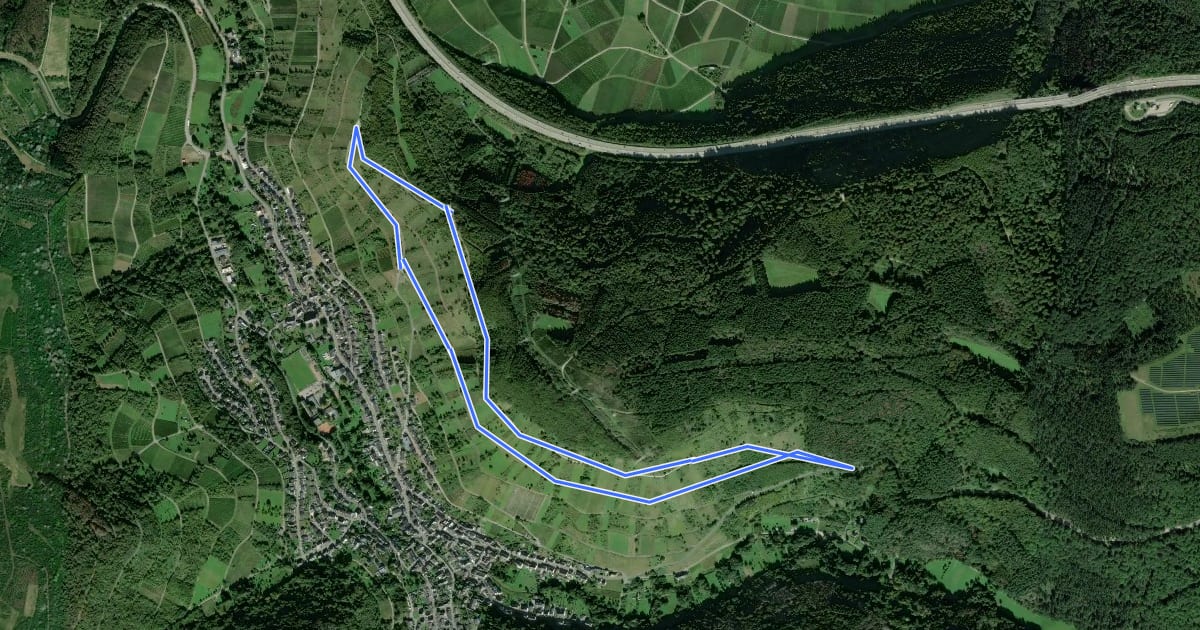 Маршрут Panorama- Weg Fell на спутниковом снимке