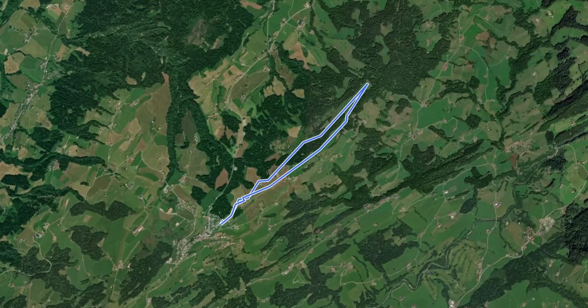 Маршрут Panoramaloipe Sulzberg на спутниковом снимке
