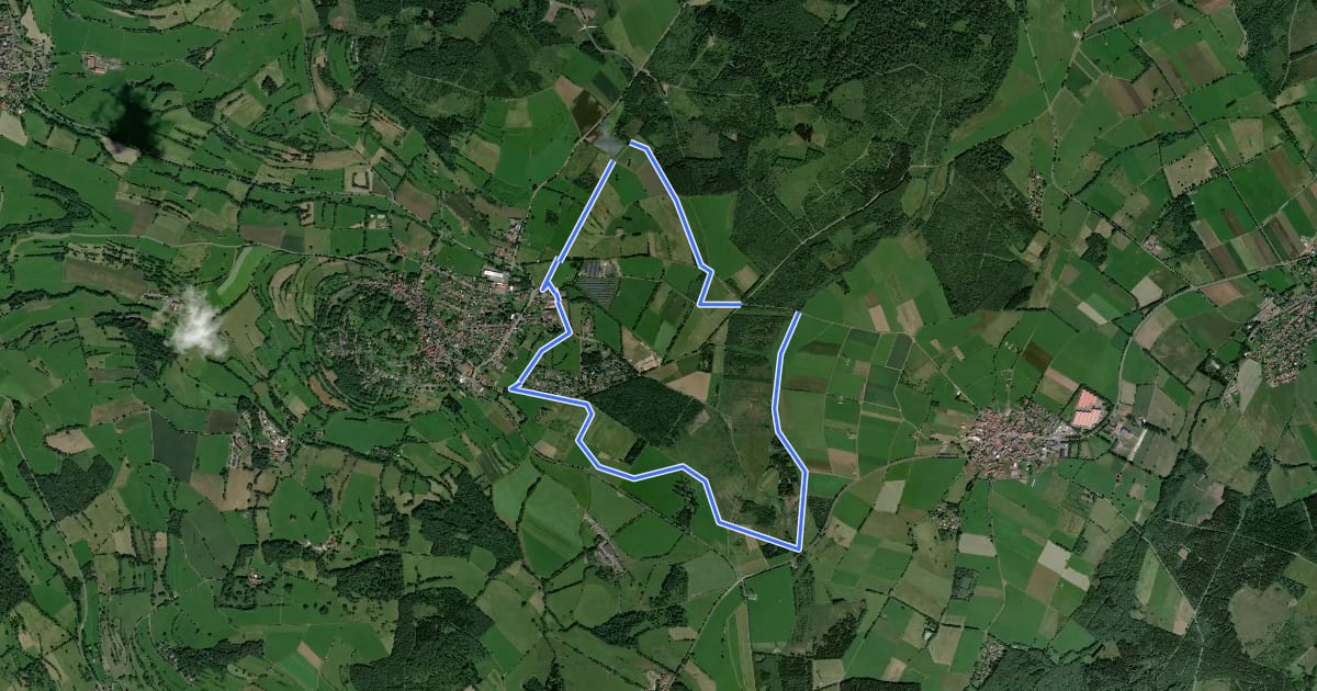 Маршрут Panoramaloipe Ulrichstein rot на спутниковом снимке