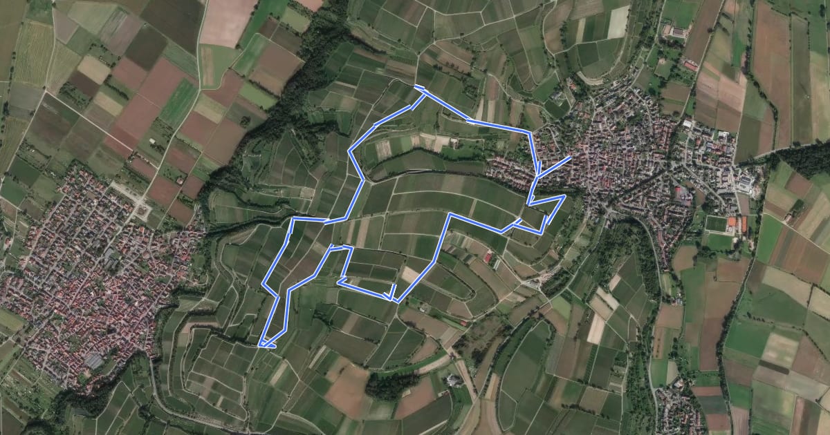 Маршрут Panoramapfad Süd Waltershofen на спутниковом снимке