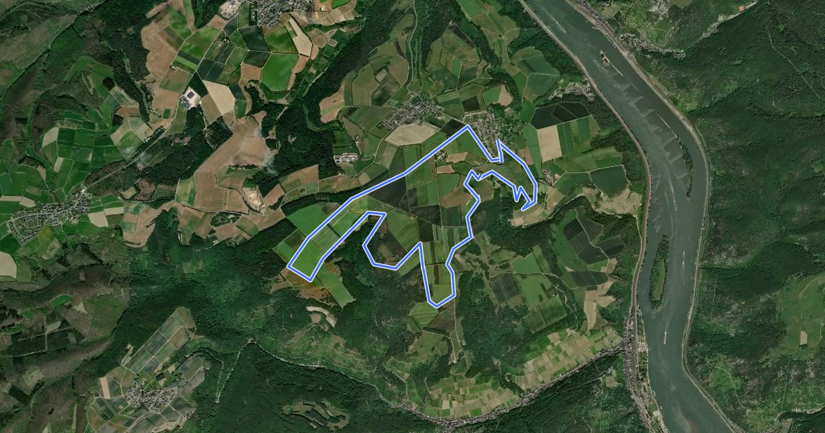 Маршрут Panoramarundweg (Hahn, roter Pfeil) на спутниковом снимке