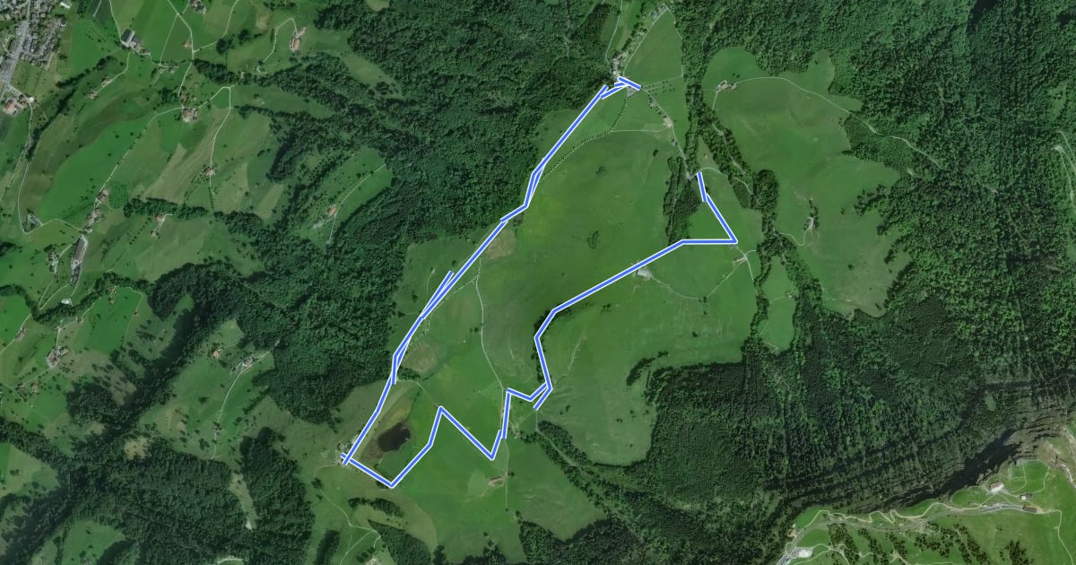 Маршрут Panoramarundweg (Seebodenalp - Altruodisegg - Holderen - Seebodenalp) на спутниковом снимке