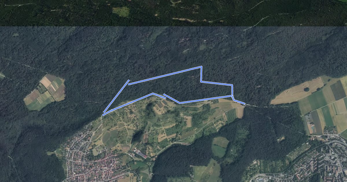 Маршрут Panoramaweg на спутниковом снимке